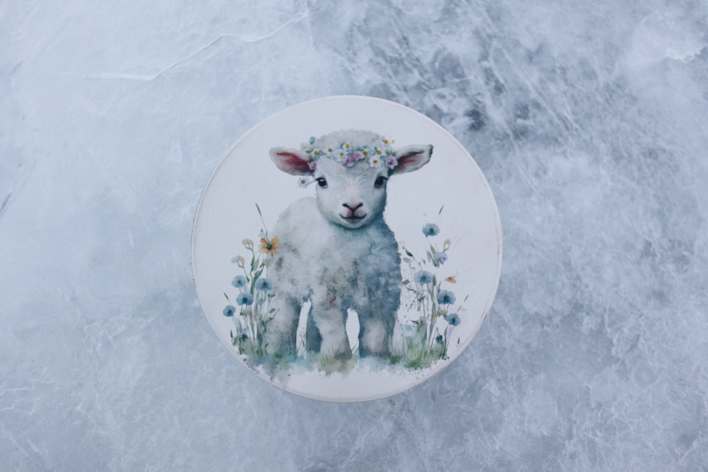 Lamb Coaster