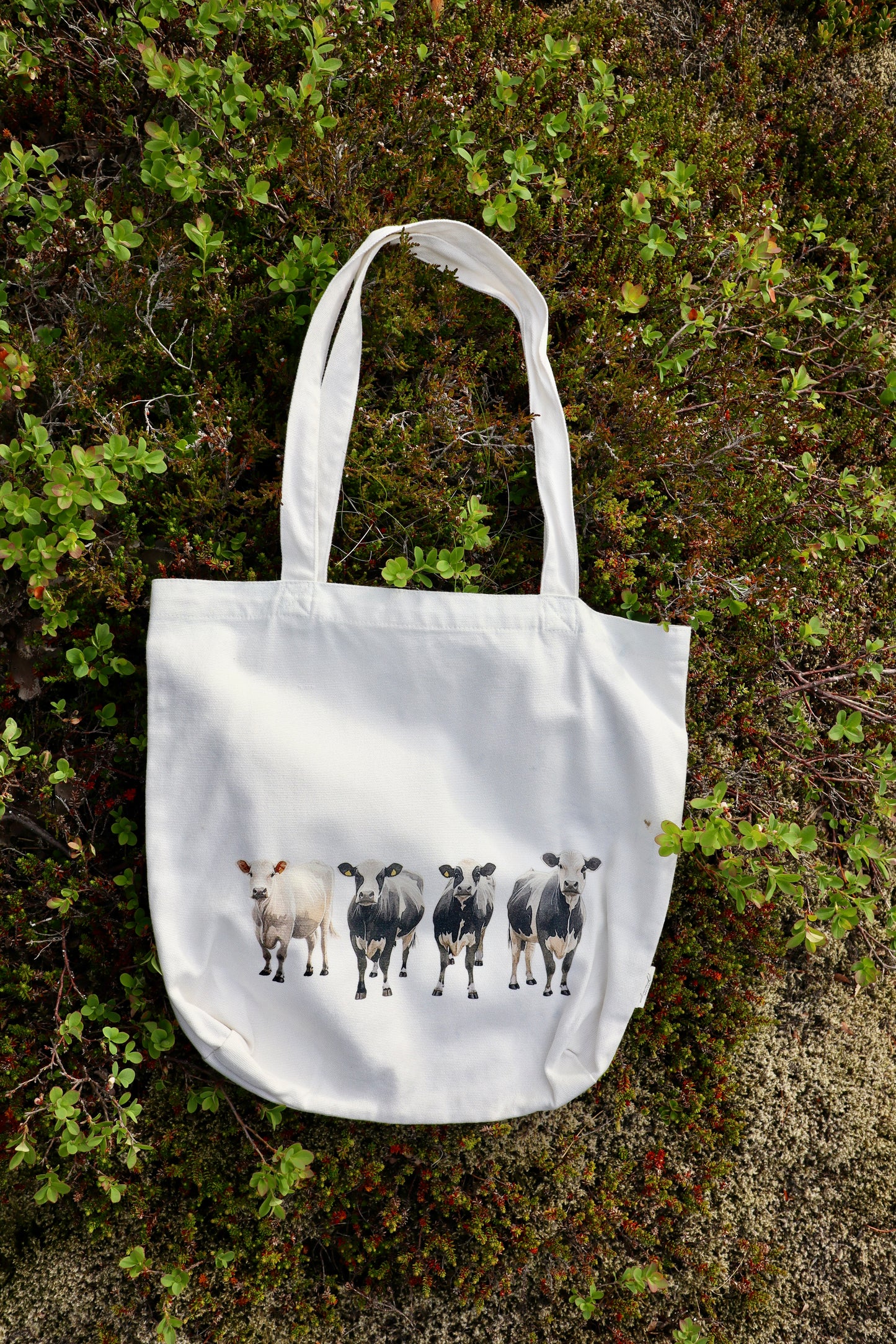 Canvas bag - Cows