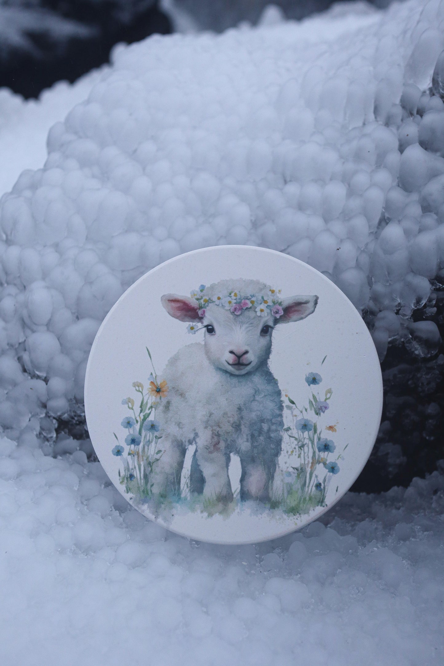 Lamb Coaster