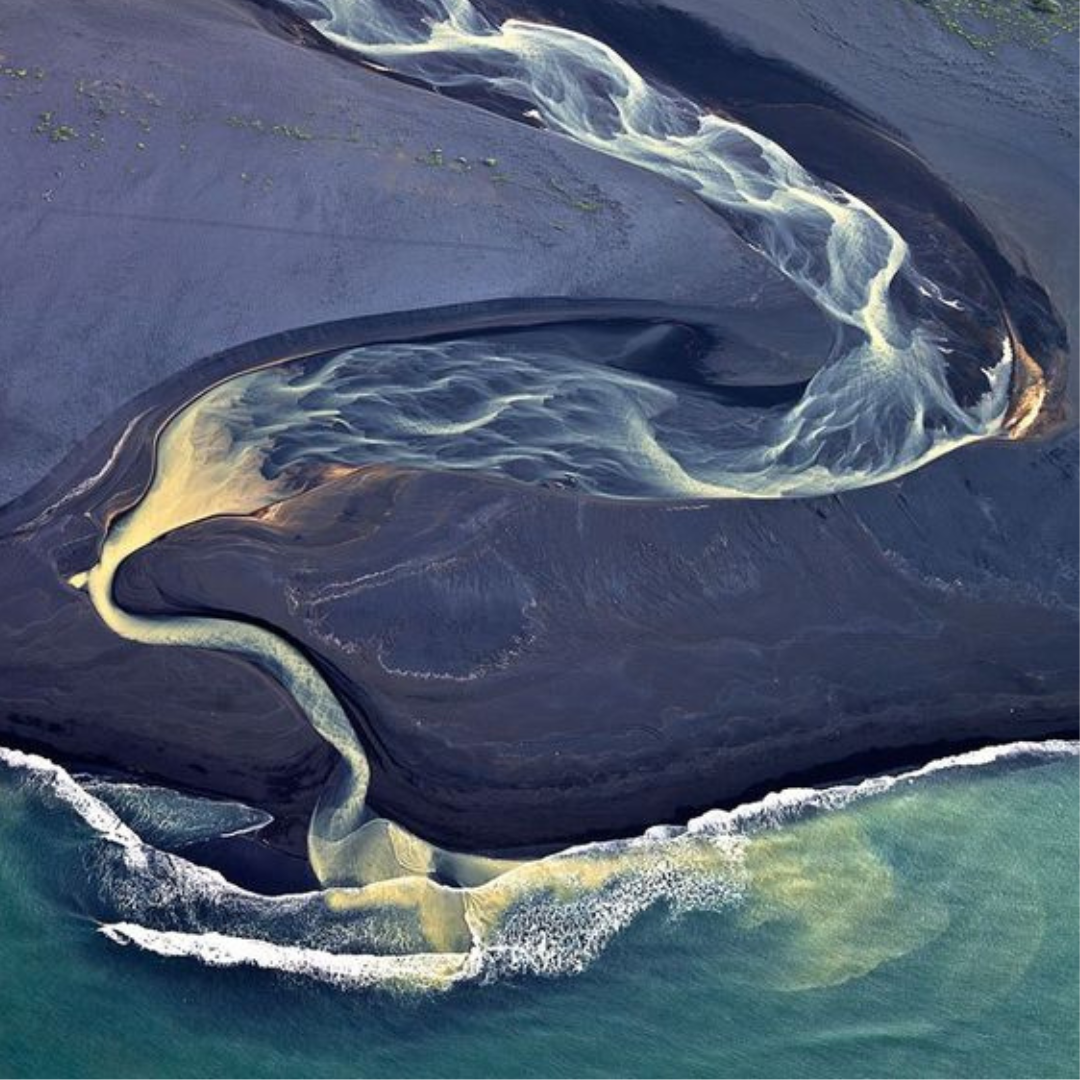 Unveiling the Wonders: Exploring the Rich Tapestry of Icelandic Wildlife with Lind Iceland