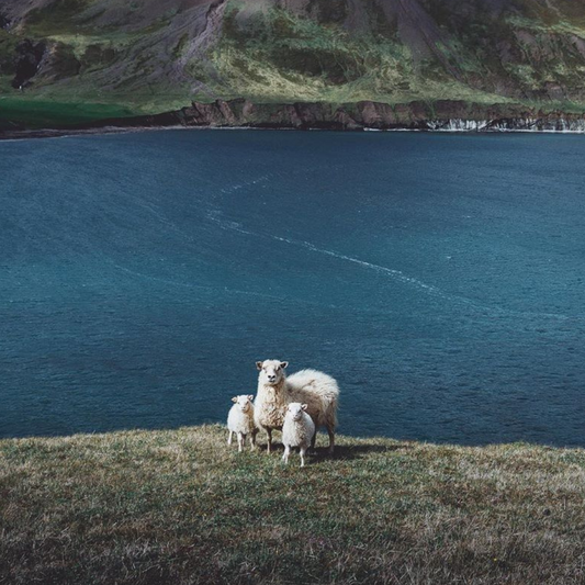 Savoring the Silence: Lind Iceland's Cozy Mugs as a Gateway to Mindful Moments